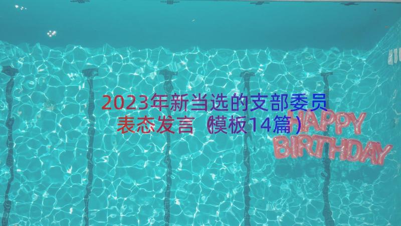 2023年新当选的支部委员表态发言（模板14篇）