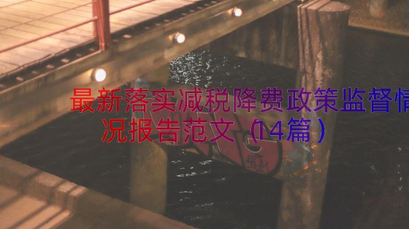 最新落实减税降费政策监督情况报告范文（14篇）