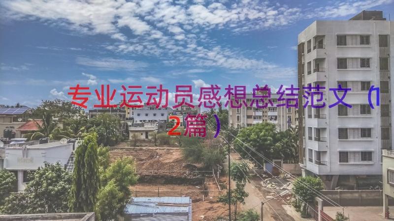 专业运动员感想总结范文（12篇）