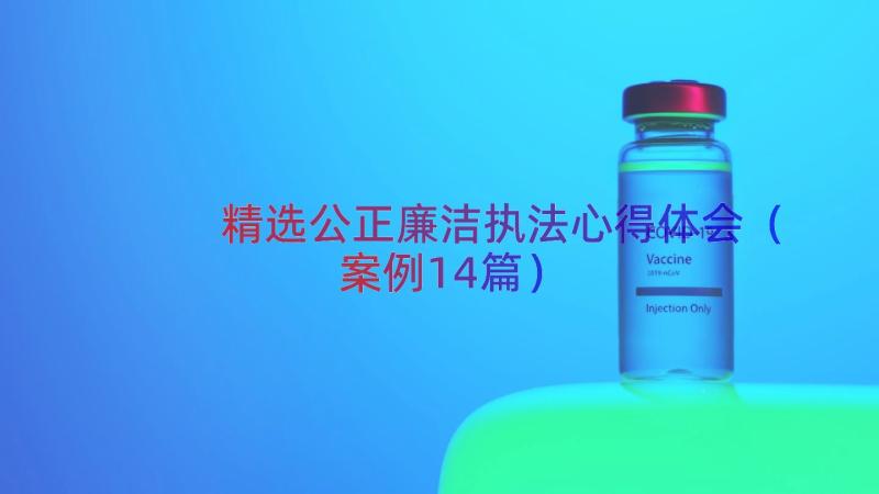 精选公正廉洁执法心得体会（案例14篇）