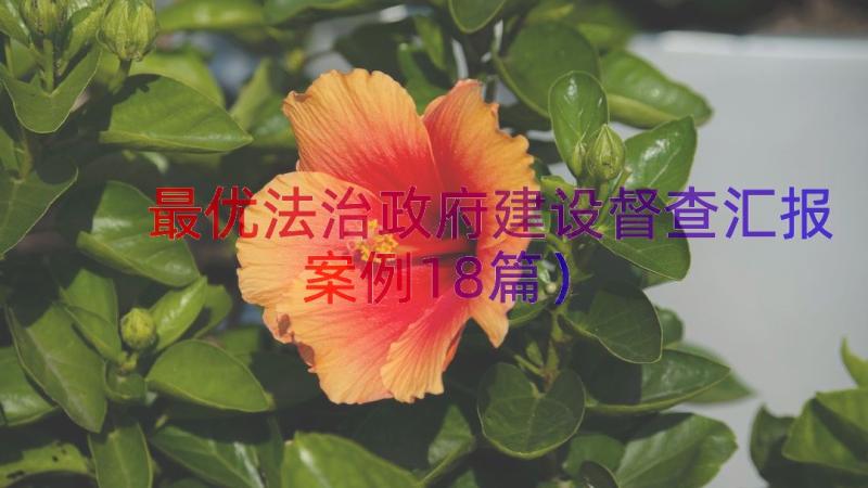 最优法治政府建设督查汇报（案例18篇）