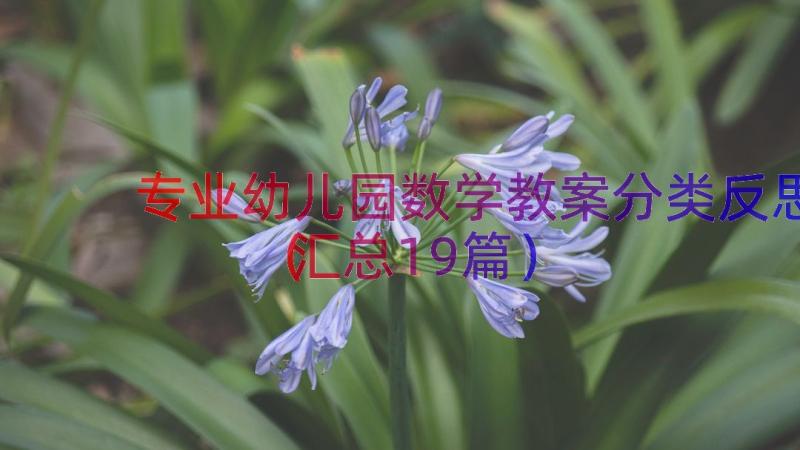 专业幼儿园数学教案分类反思（汇总19篇）