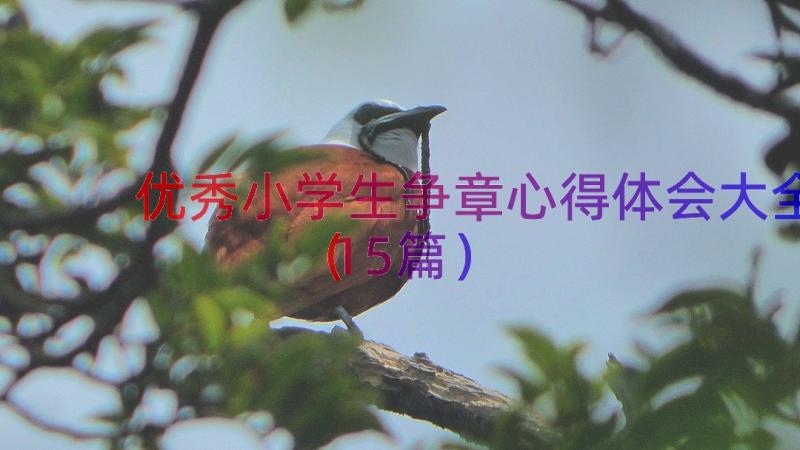 优秀小学生争章心得体会大全（15篇）