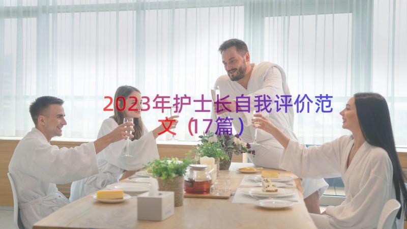 2023年护士长自我评价范文（17篇）