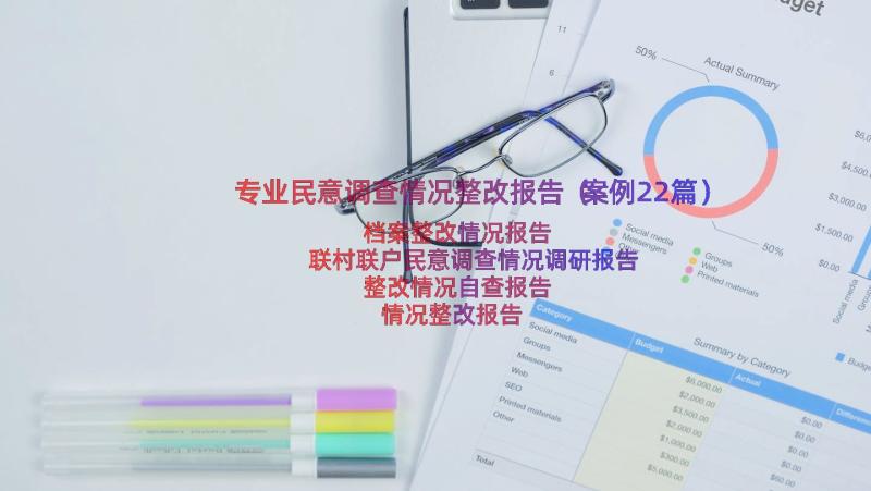 专业民意调查情况整改报告（案例22篇）