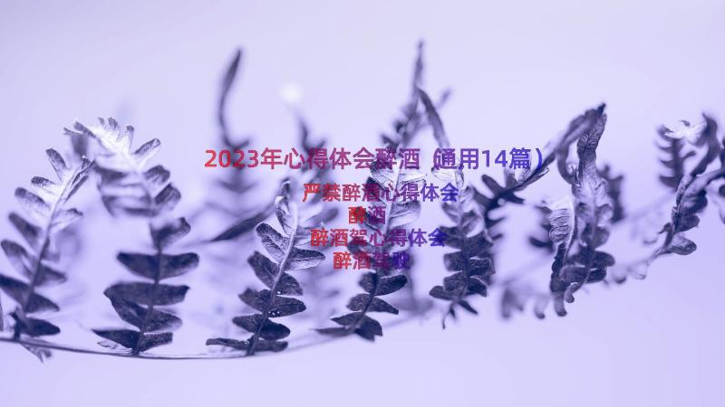 2023年心得体会醉酒（通用14篇）