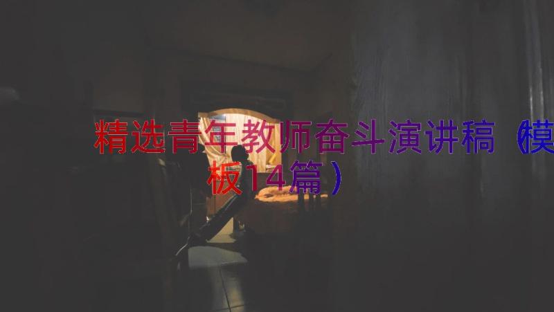 精选青年教师奋斗演讲稿（模板14篇）