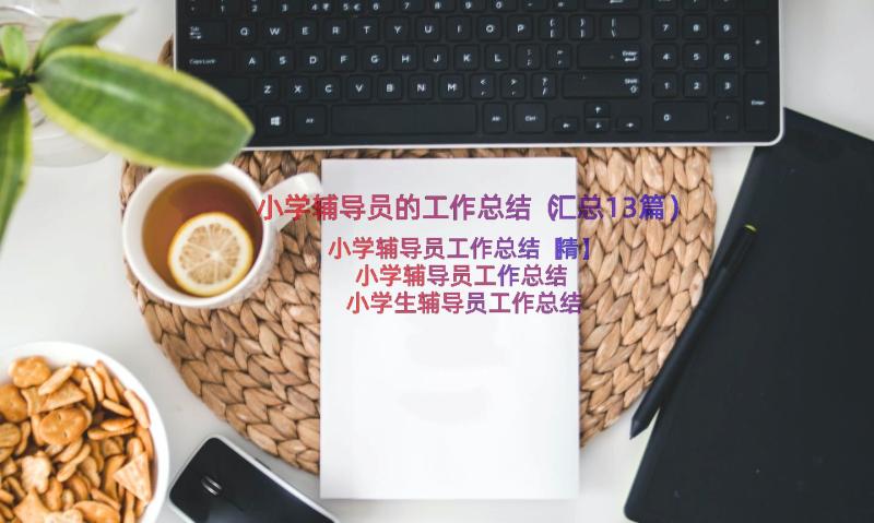 小学辅导员的工作总结（汇总13篇）