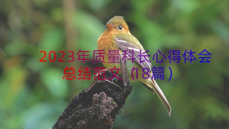 2023年质量科长心得体会总结范文（18篇）