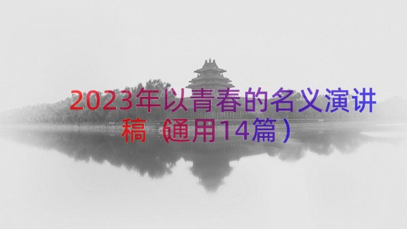 2023年以青春的名义演讲稿（通用14篇）