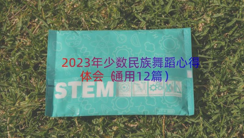 2023年少数民族舞蹈心得体会（通用12篇）