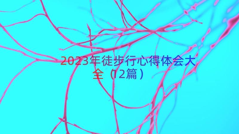 2023年徒步行心得体会大全（12篇）