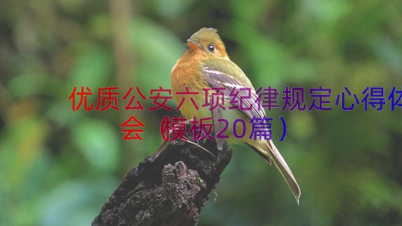 优质公安六项纪律规定心得体会（模板20篇）