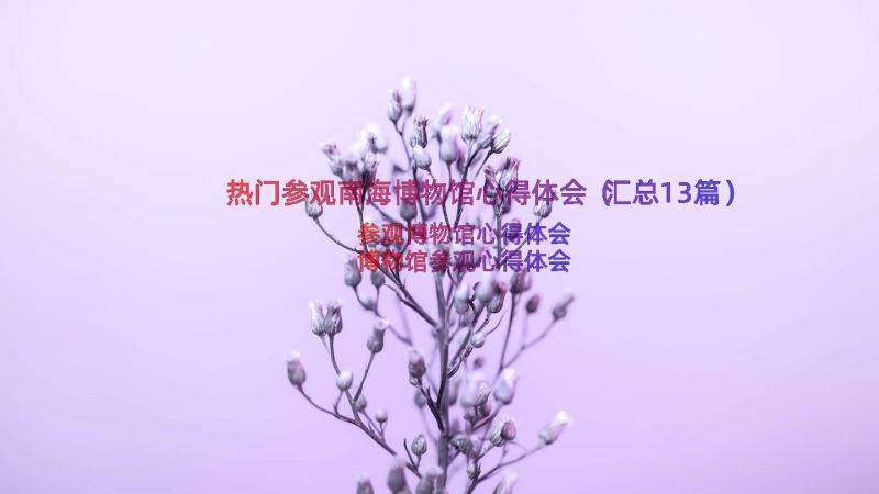 热门参观南海博物馆心得体会（汇总13篇）