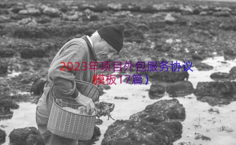 2023年项目外包服务协议（模板17篇）