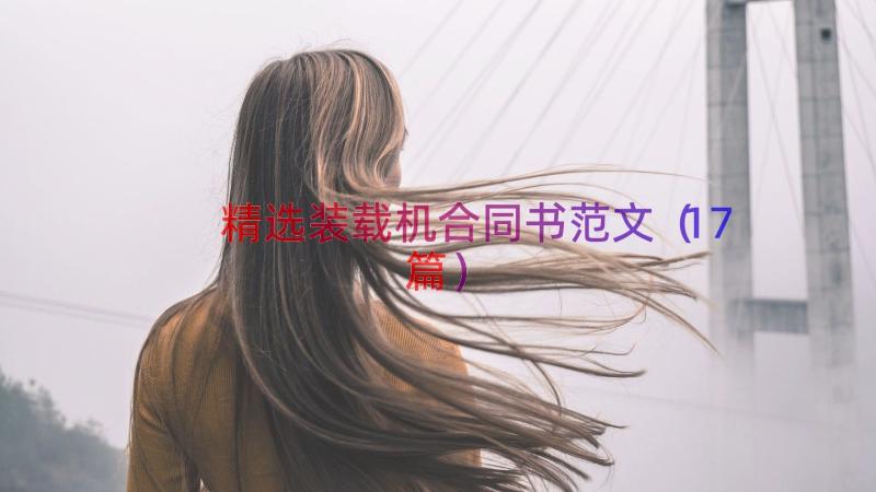 精选装载机合同书范文（17篇）