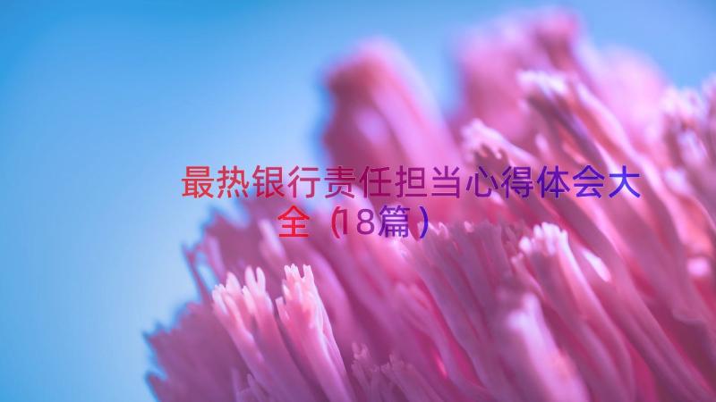 最热银行责任担当心得体会大全（18篇）