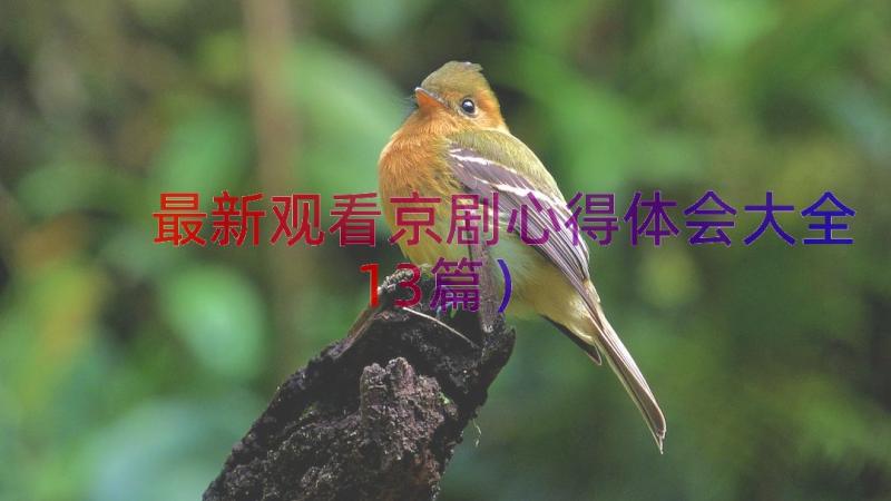 最新观看京剧心得体会大全（13篇）