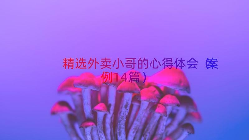 精选外卖小哥的心得体会（案例14篇）