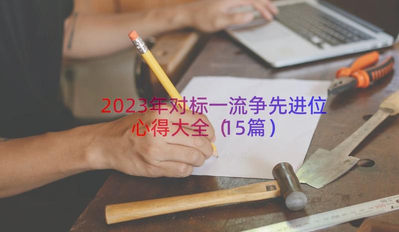 2023年对标一流争先进位心得大全（15篇）