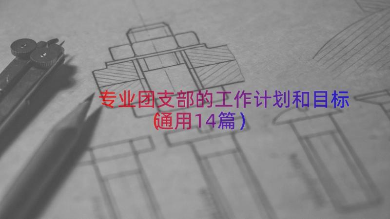 专业团支部的工作计划和目标（通用14篇）