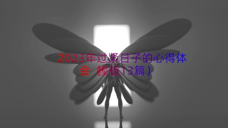 2023年过紧日子的心得体会（模板13篇）