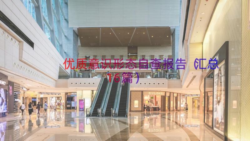 优质意识形态自查报告（汇总16篇）