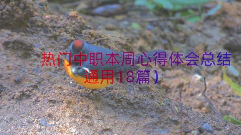 热门中职本周心得体会总结（通用18篇）