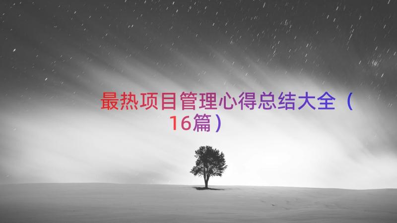 最热项目管理心得总结大全（16篇）