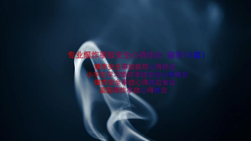 专业爆炸事故安全心得体会（案例16篇）