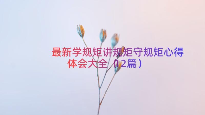 最新学规矩讲规矩守规矩心得体会大全（12篇）