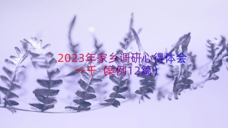 2023年家乡调研心得体会一千（案例12篇）