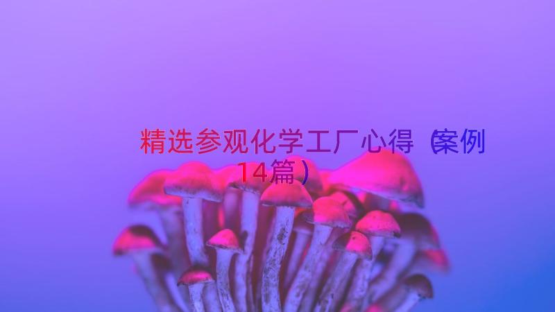 精选参观化学工厂心得（案例14篇）