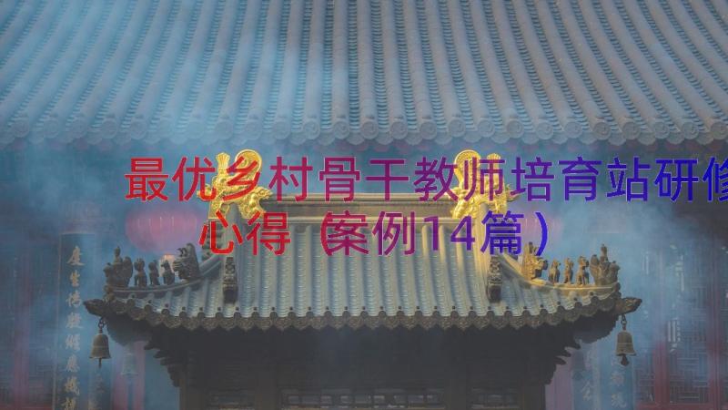 最优乡村骨干教师培育站研修心得（案例14篇）