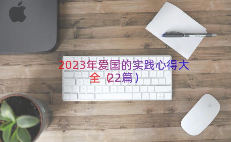 2023年爱国的实践心得大全（22篇）