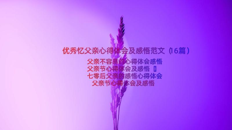 优秀忆父亲心得体会及感悟范文（16篇）