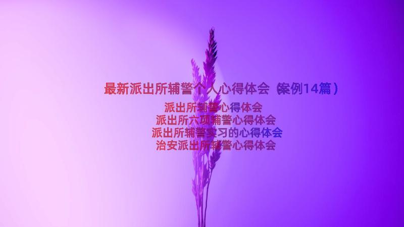 最新派出所辅警个人心得体会（案例14篇）