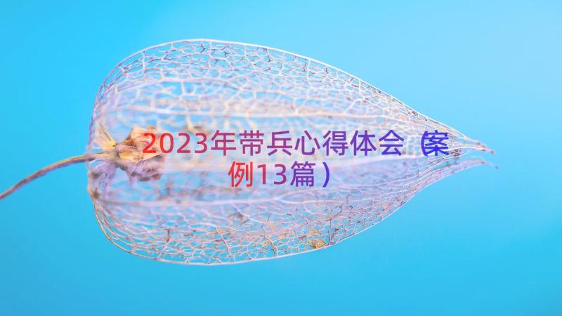 2023年带兵心得体会（案例13篇）