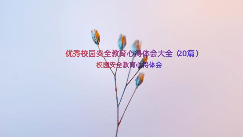 优秀校园安全教育心得体会大全（20篇）