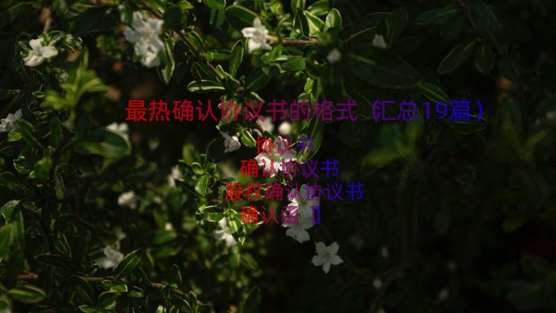 最热确认协议书的格式（汇总19篇）