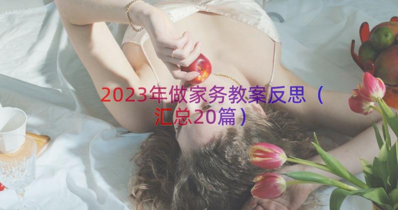 2023年做家务教案反思（汇总20篇）