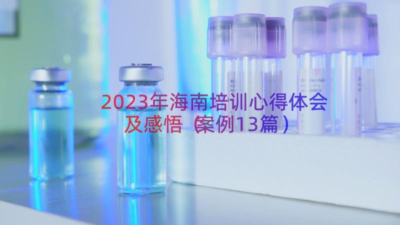 2023年海南培训心得体会及感悟（案例13篇）