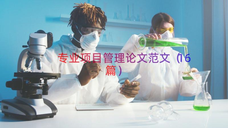 专业项目管理论文范文（16篇）