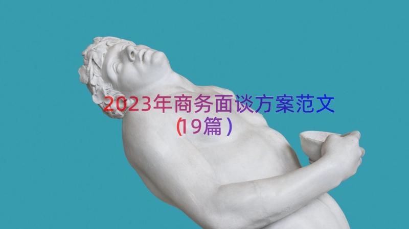 2023年商务面谈方案范文（19篇）