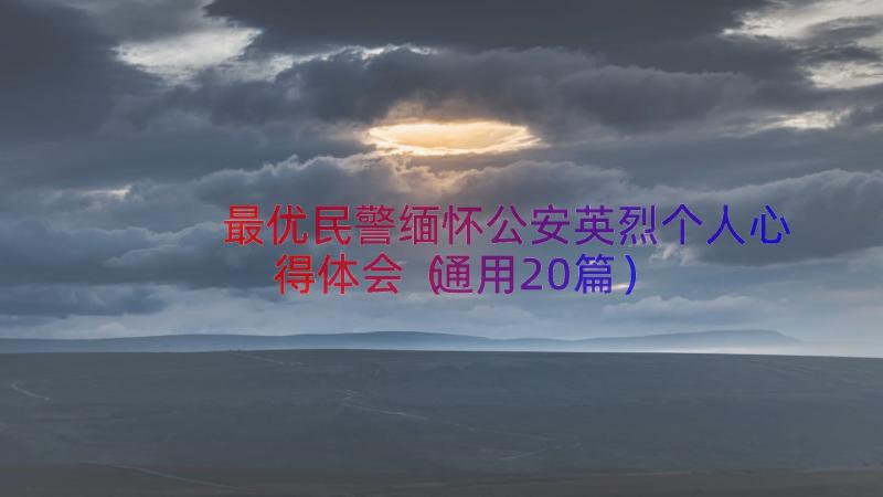 最优民警缅怀公安英烈个人心得体会（通用20篇）