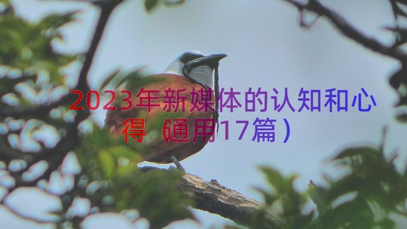 2023年新媒体的认知和心得（通用17篇）