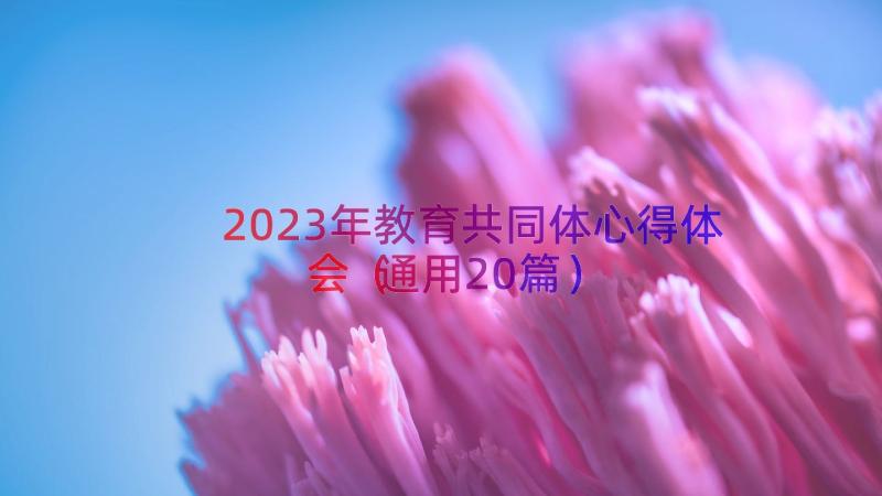 2023年教育共同体心得体会（通用20篇）