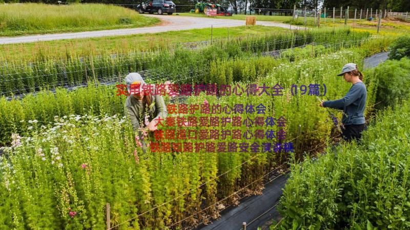 实用铁路爱路护路的心得大全（19篇）