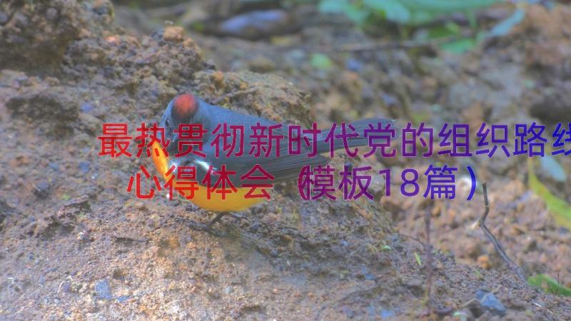 最热贯彻新时代党的组织路线心得体会（模板18篇）