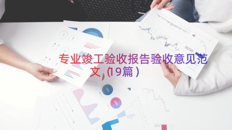 专业竣工验收报告验收意见范文（19篇）